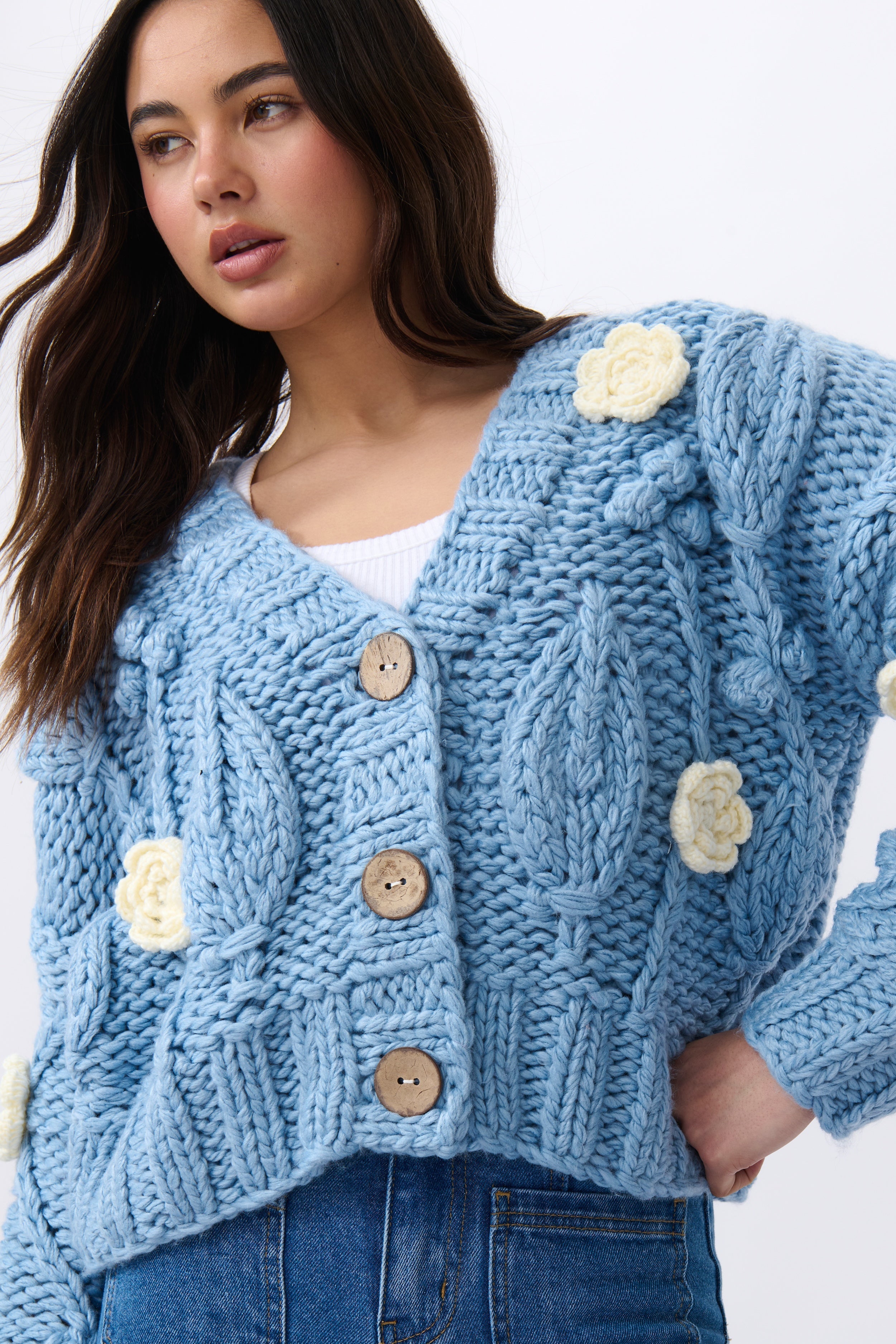 Alexa Knit - Soft Blue with Ecru Flowers